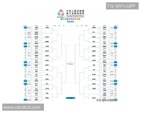 杭州乒乓球队在世界杯中的精彩表现与状态分析