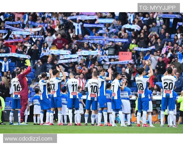 武汉排球队在洲际杯中的技术表现分析与未来发展展望